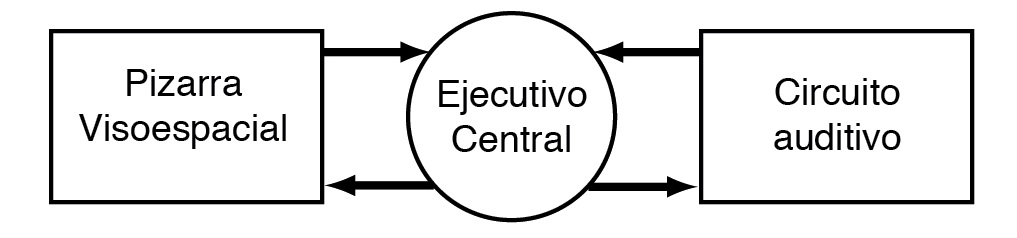 Modelo de la memoria de trabajo