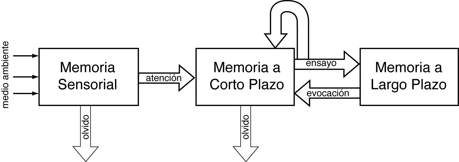 memoria de trabajo